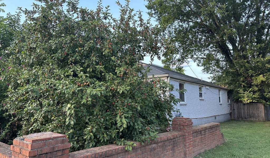 1118 2nd Ave, Nashville, Tennessee image 6
