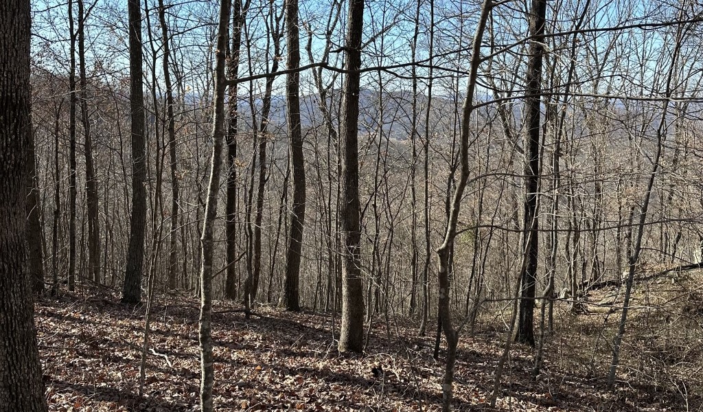 59 Long Mountain Trail, McMinnville, Tennessee image 8