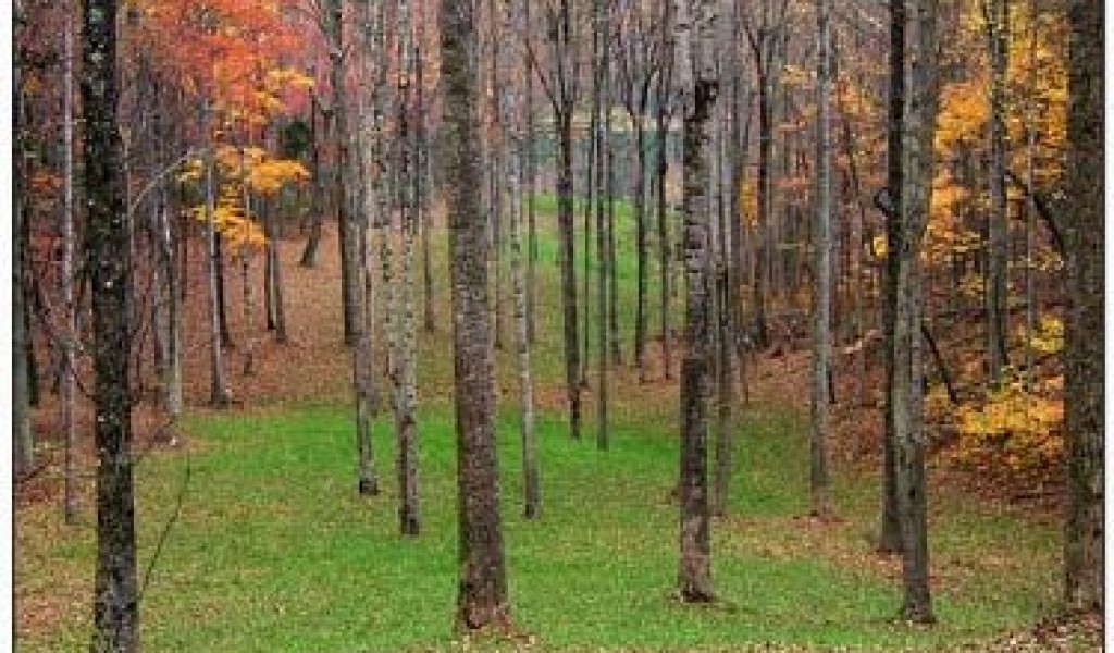 59 Long Mountain Trail, McMinnville, Tennessee image 18