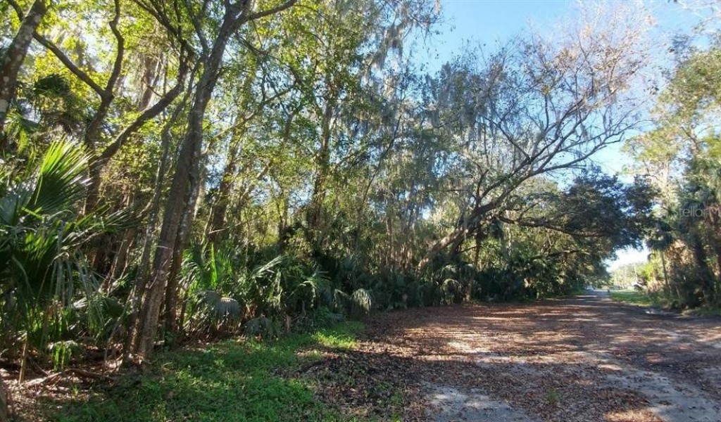 Hibiscus Lane, DELTONA, Florida image 10