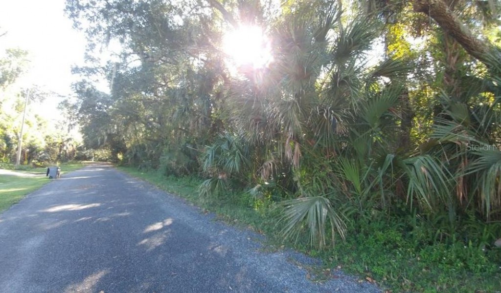 Hibiscus Lane, DELTONA, Florida image 7