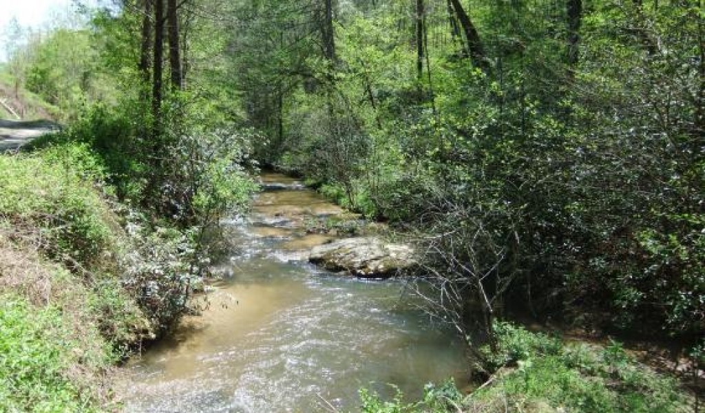 30 Acre Otter Creek Road, Union Mills, North Carolina image 19